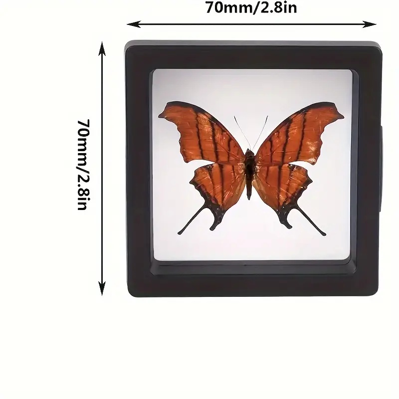20Pcs Clearview 3D Floating Di - đánh giá và giá Display Case Acrylic